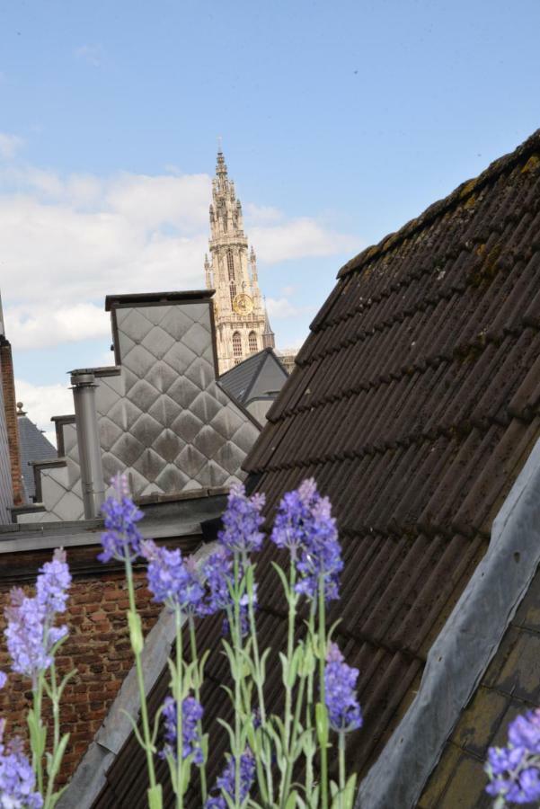 Huize Amoras Antwerpia Zewnętrze zdjęcie