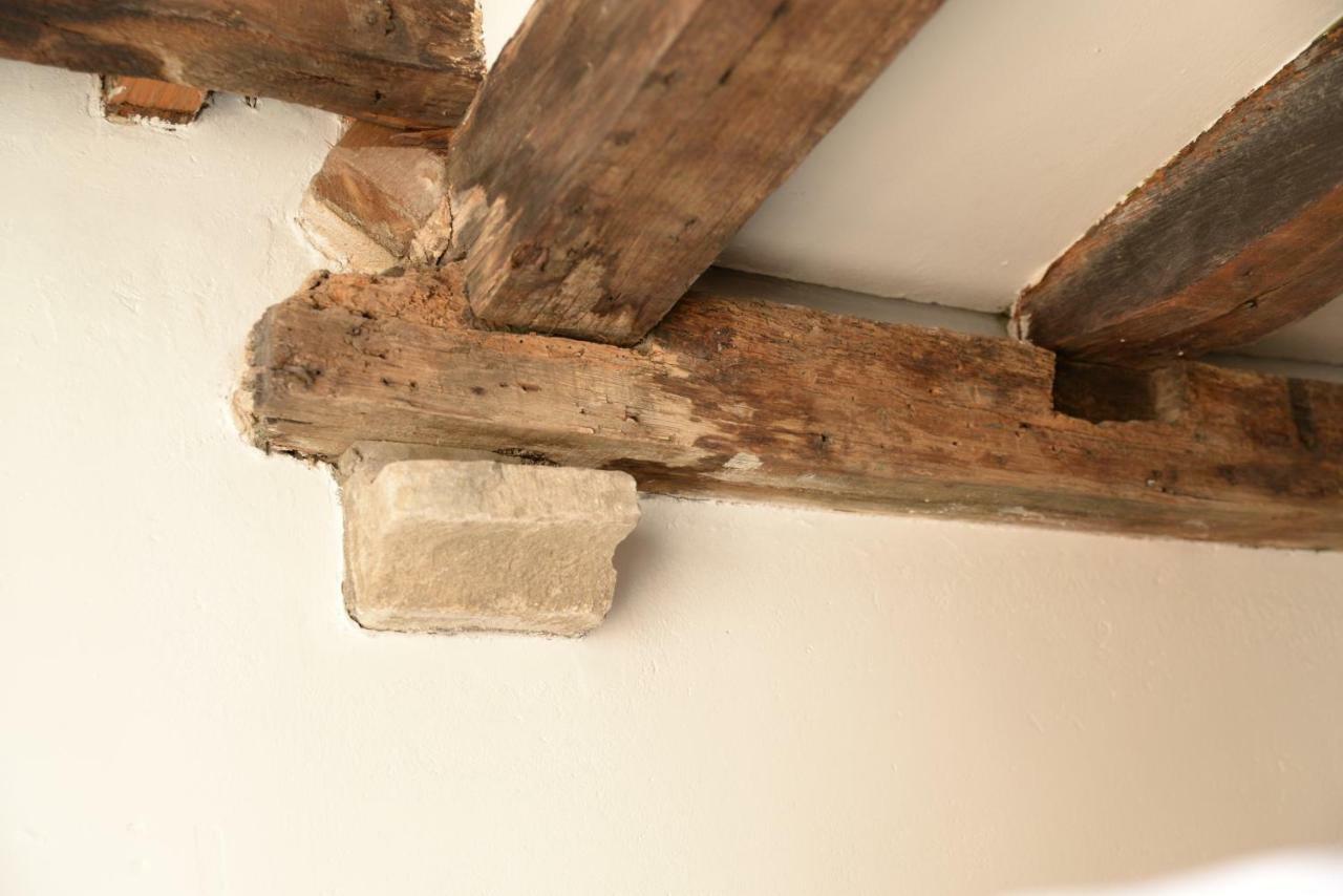 Huize Amoras Antwerpia Zewnętrze zdjęcie